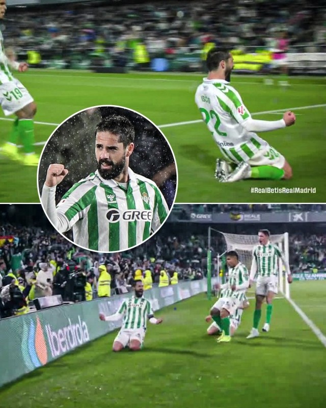 关于皇马巨星伤愈复出即破门，全场球迷沸腾，简介处理生产.的信息-九游下载中心